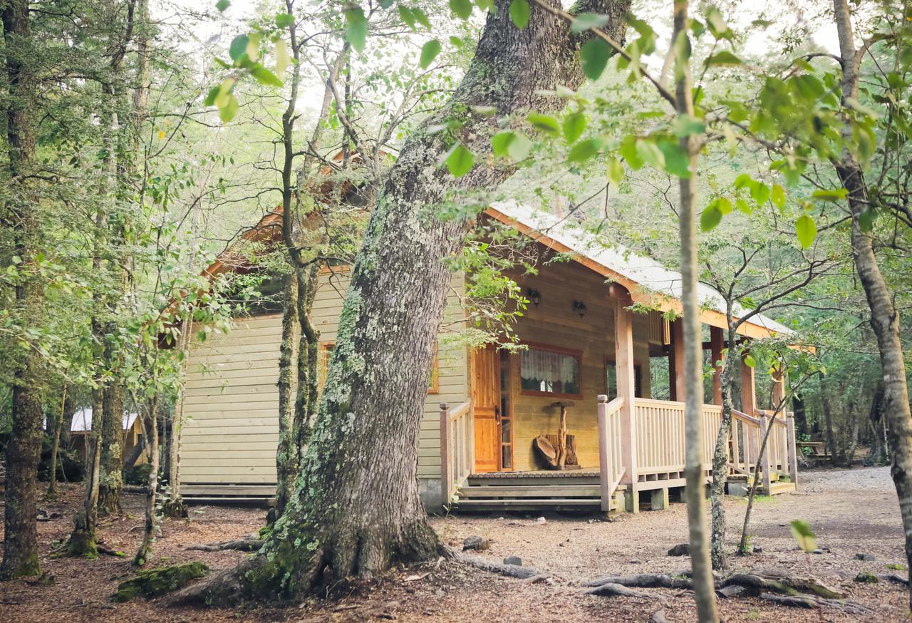 Llaima Camp Curacautín Exterior foto