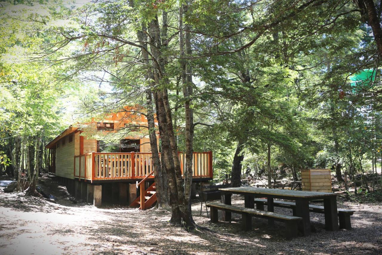 Llaima Camp Curacautín Exterior foto